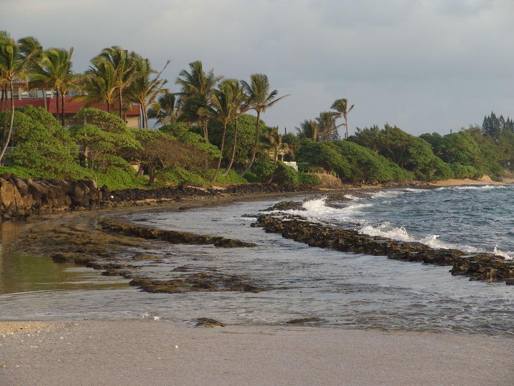 Castle Kauai Kailani Daire Kapa'a Dış mekan fotoğraf